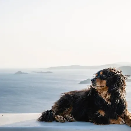 Miravo Mykonos Βίλα